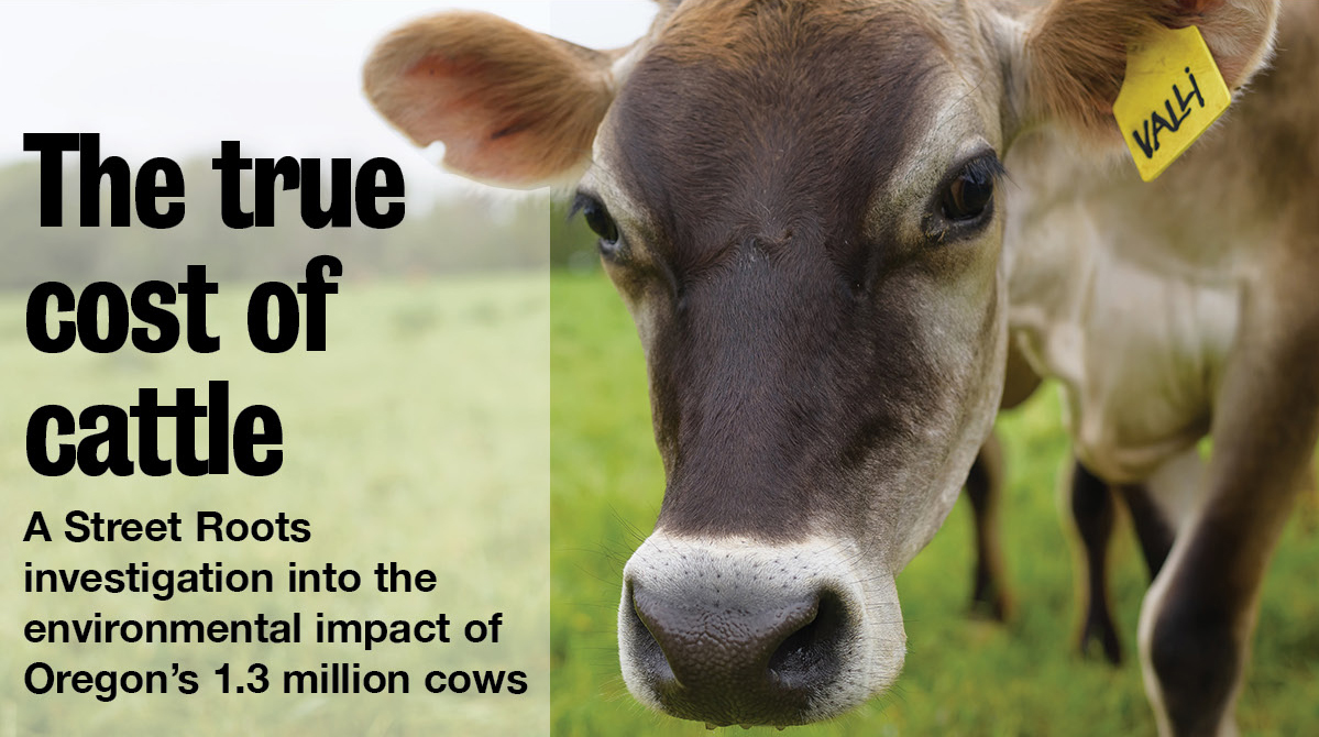 Street Roots investigation: The True Cost of Cattle