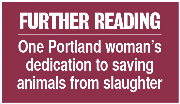 Further reading: One Portland woman’s dedication to saving animals from slaughter