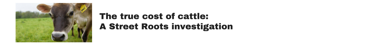 The true cost of cattle: A Street Roots investigation