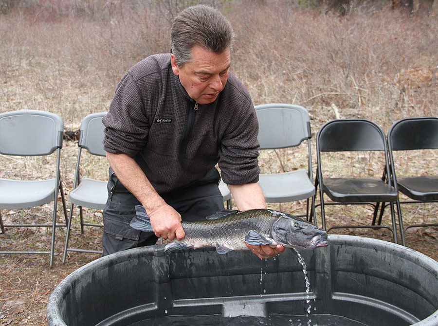 A man holds a fish over a basin of water.