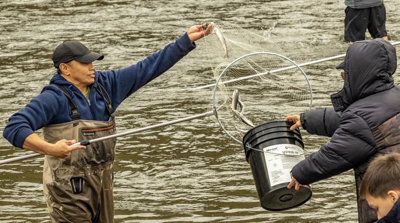 A person is standing knee-deep in the river holding a net as another person assists him with the fish caught in his net.