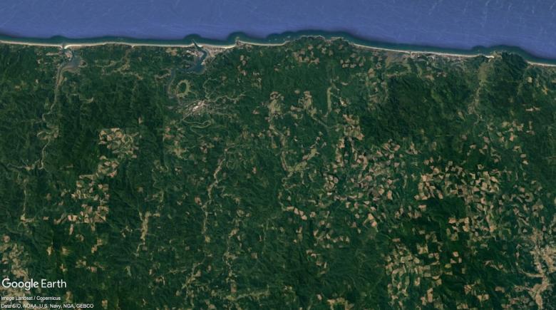 Clear-cuts in Lincoln County shown in Google Earth