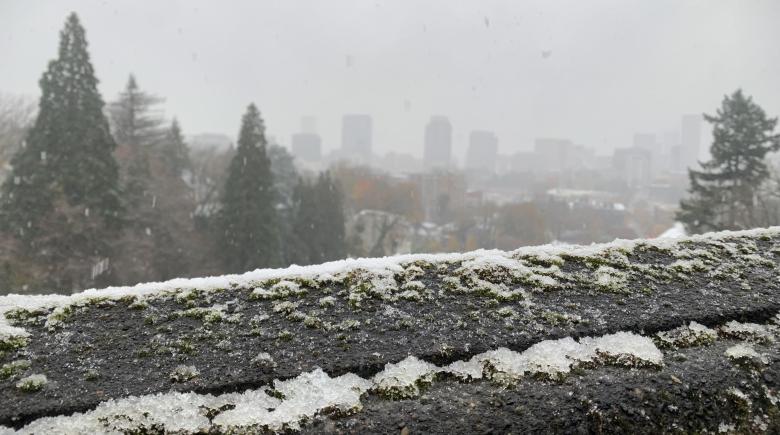 Photo of snowy Downtown Portland skyline with icy bridge hand rail in foreground 