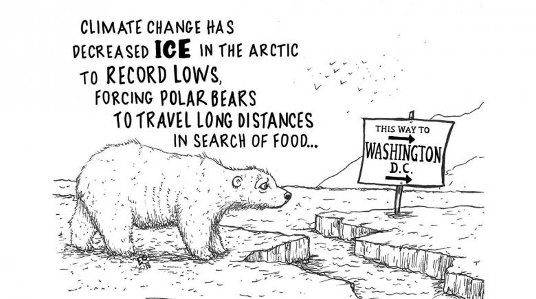 Sheeptoast: Polar Problems