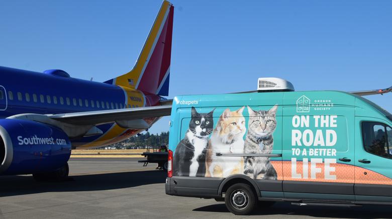 an Oregon Humane Society van and a Southwest Airlines plane are on the tarmac. The van has 3 cats on it.