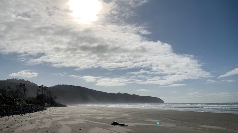 A photo of a beach on the Oregon coast. The sun is high in the sky and the sand is in the foreground with the ocean in the background.