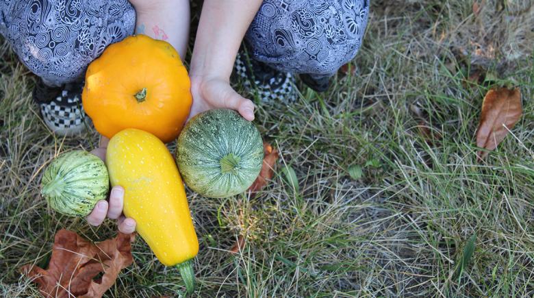 A person holds different varieties of squash
