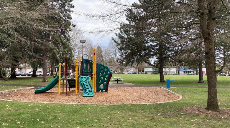 A view of the green, yellow and purple play structure at George Park. The structure is contained in an area of bark chips and the surrounding area is grass.