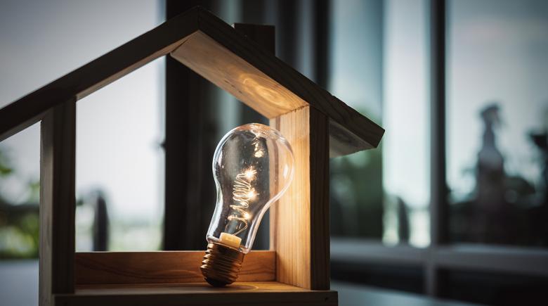Light bulb with a wood house on the table