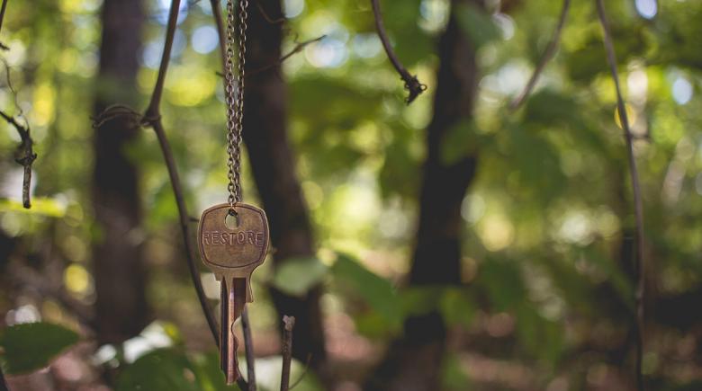 A key hangs from a tree alone in the woods
