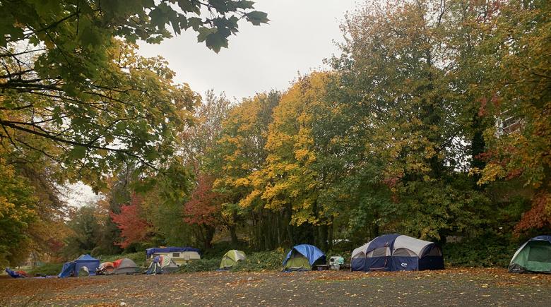 Photo of a row of tents underneath trees with leaves that are yellow, orange and red.