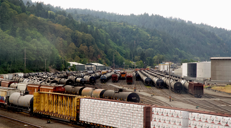 the foreground shows an area filled with trains used to transport oil for Zenith energy. Behind the trains is a tree-filled area.