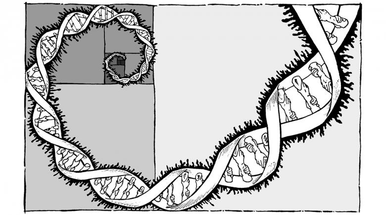 Genome illustration