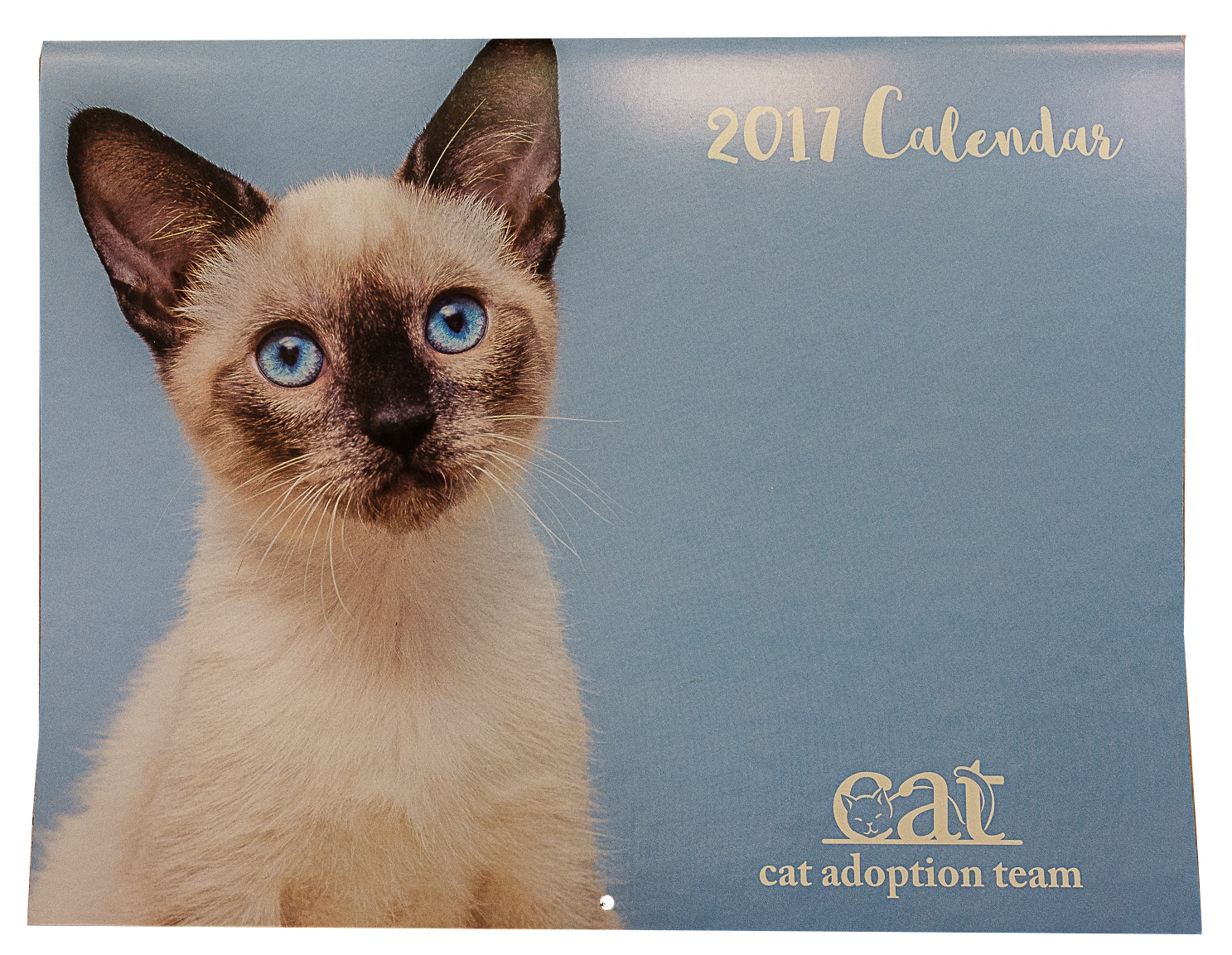 CAT calendar